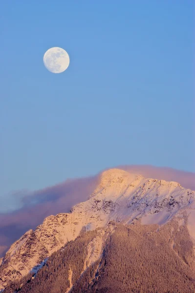 Ay doğumu — Stok fotoğraf