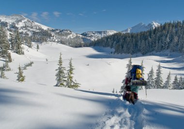 Winter backpacker and her dog clipart