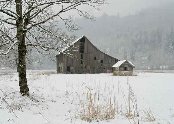 冬季农场 — 图库照片