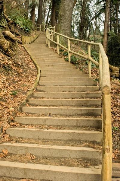 Puinen portaikko — kuvapankkivalokuva