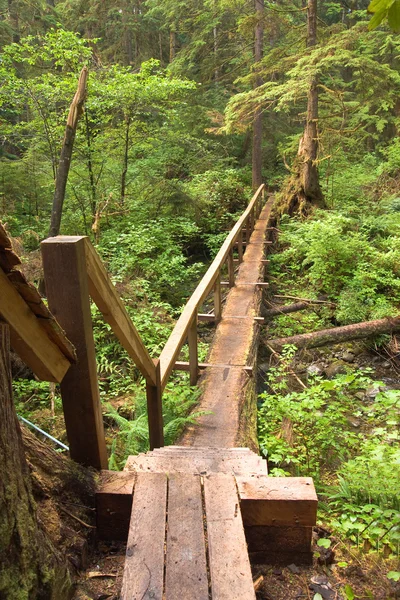 Log bridge och trail — Stockfoto