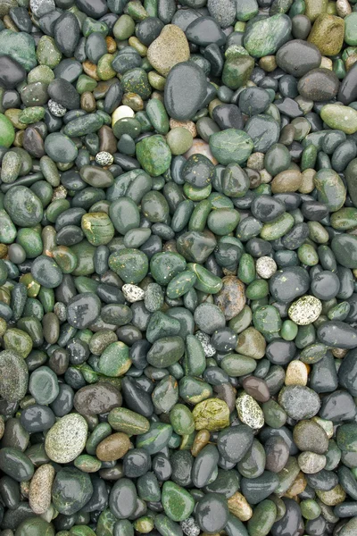Beach Pebbles — Stock Photo, Image