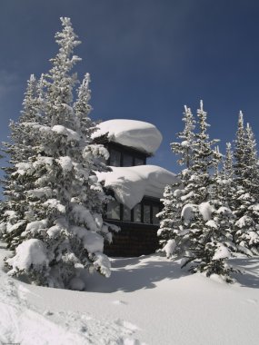 Fire lookout clipart