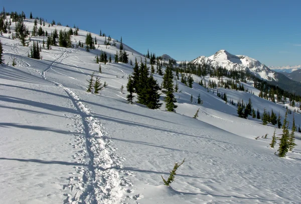 Mountain Snowshoe path — Stock Photo, Image