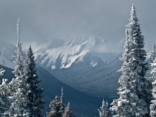 Lofty winter mountains — Stock Photo, Image
