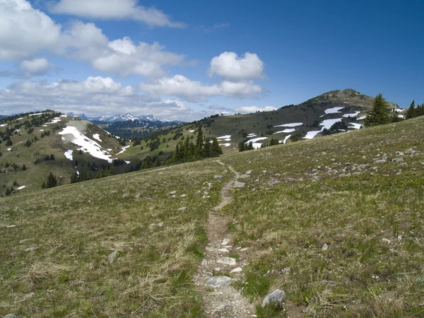 Alpine Trail — Stockfoto
