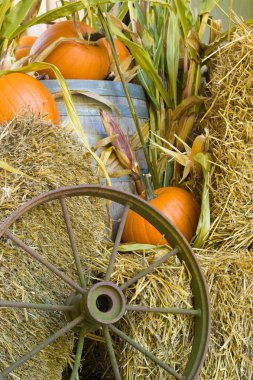 Fall harvest display clipart