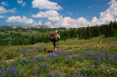 Alpine backpacker clipart