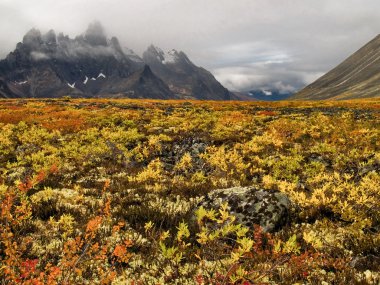 Tombstone Pass Yukon clipart