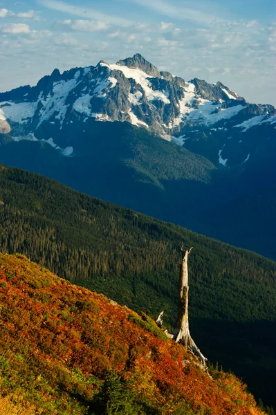 Sonbahar northern Washington — Stok fotoğraf