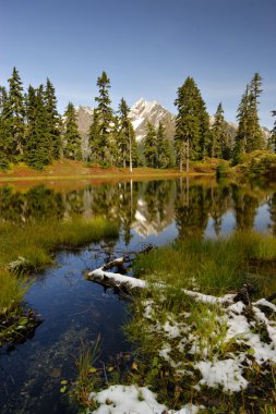 Laughington Lake in autumn clipart