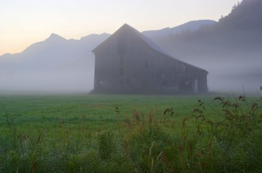 Old barn and a misty morning clipart