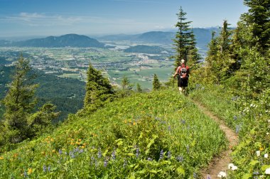 Alpine meadow hiker clipart