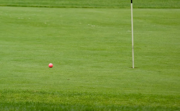 Golf topu ve bayrak — Stok fotoğraf