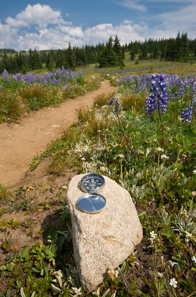 Compass along a trail — Stock Photo, Image