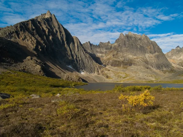 Grizzly lake in central yukon — Stock Photo, Image