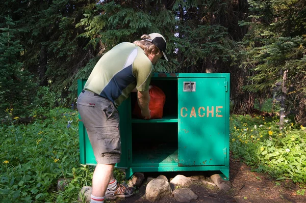 Utilizzo di una cache per orsi sicura — Foto Stock