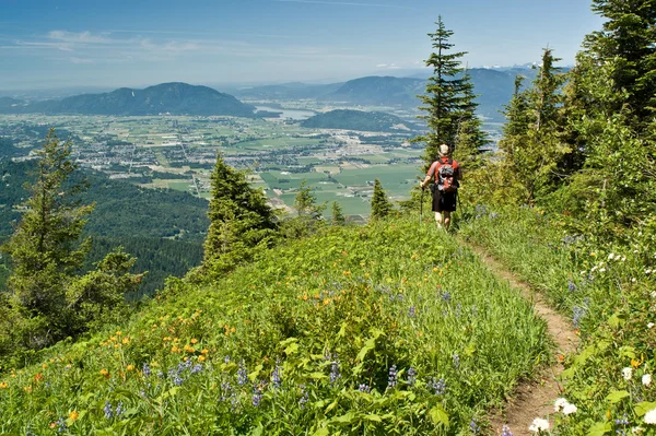 Alpine meadow hiker — Zdjęcie stockowe