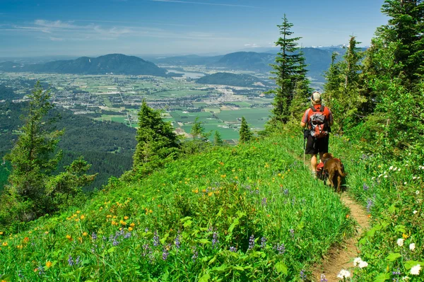 A hiker and his best friend — Stock Photo, Image