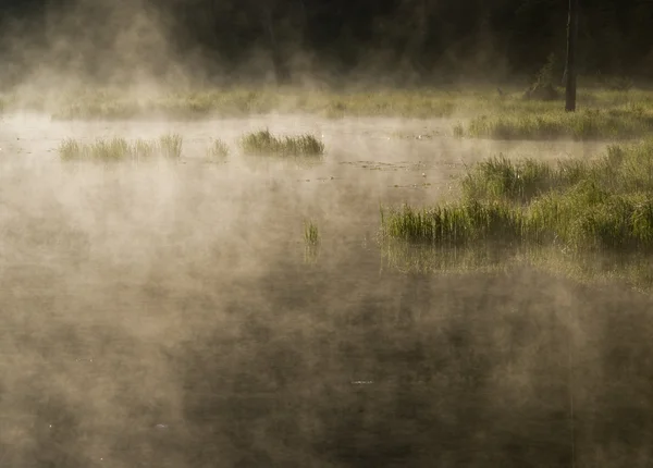Mistige ochtend lake — Stockfoto