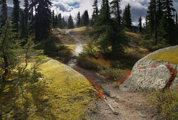 Wilderness Alpine ridge trail — Stock Photo, Image