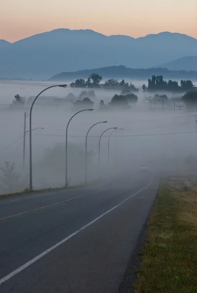 Guidare nella nebbia mattutina — Foto Stock