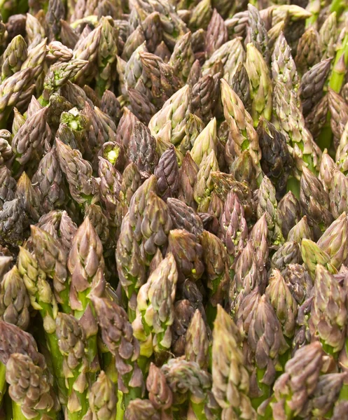 stock image Asparagus heads background composition