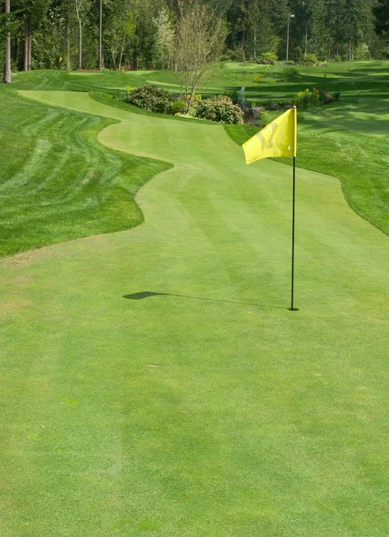 Golf grün und pin — Stockfoto