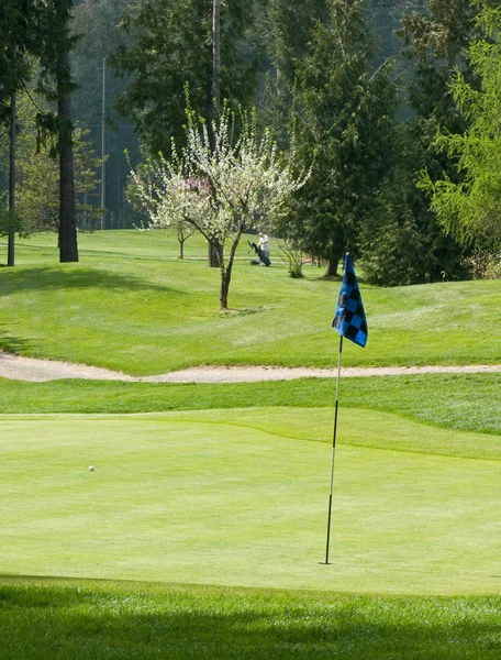Golfista přistání míč na greenu — Stock fotografie