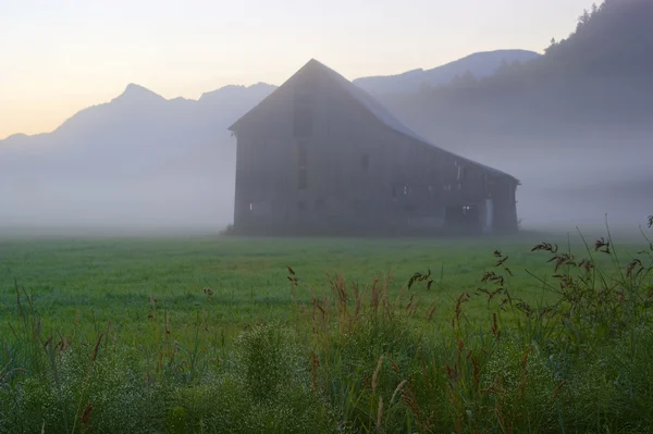 Staré stodoly a mlhavé ráno Stock Fotografie