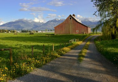 Traditional dairy barn clipart