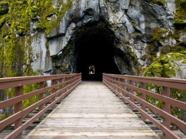 Old railroad bridge and tunnels clipart