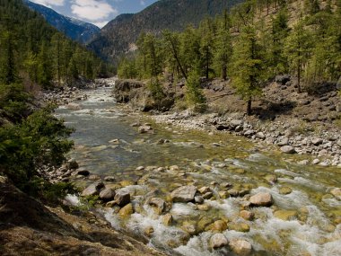 Stein River Rapids