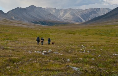 Vahşi Backpackers