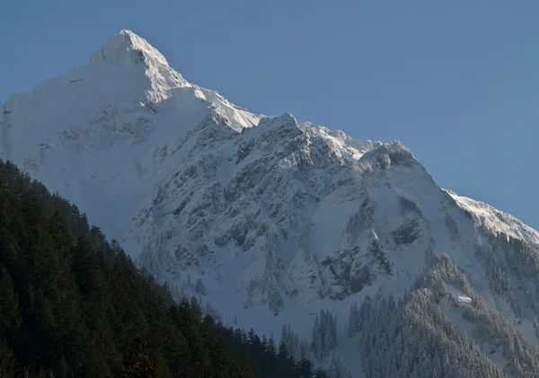 Snowy mountain peak — Stock Photo, Image