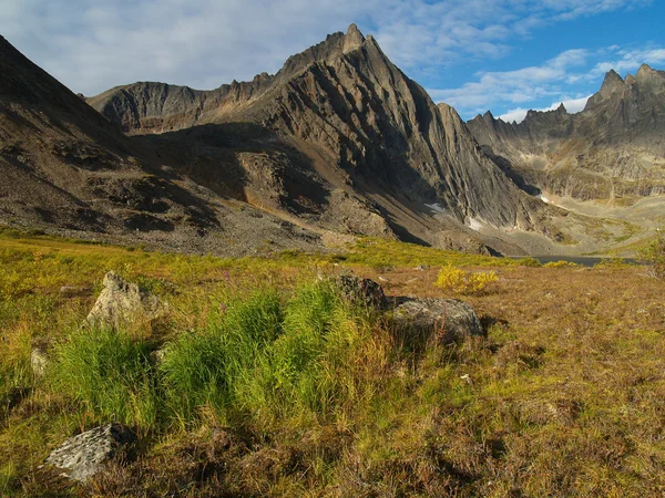 Yukon toprakları mountian boz — Stok fotoğraf