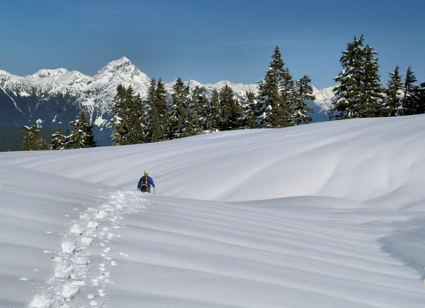 Wilderness Snowshoeing — Stock Photo, Image