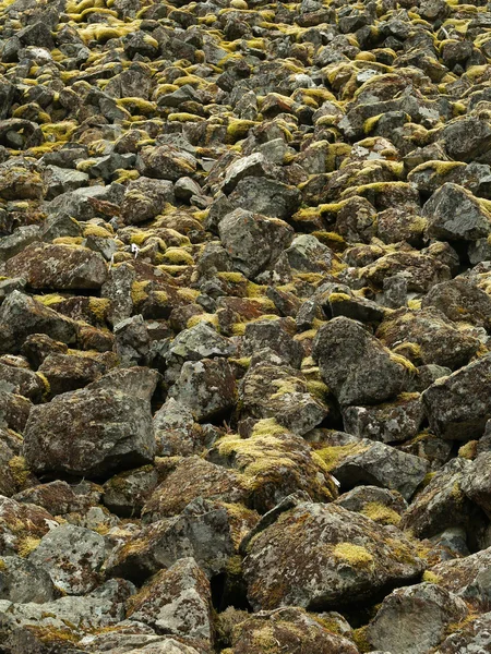 Moss and lichen on talus granite — Stock Photo, Image