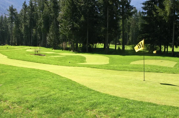 Golf zielony i pin — Zdjęcie stockowe