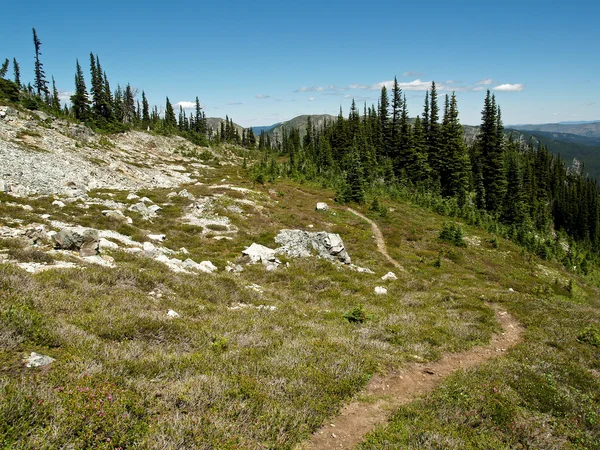 Enrolamento Alpine Trail — Fotografia de Stock