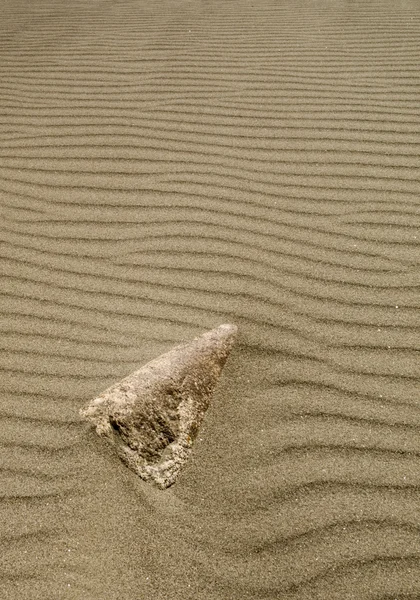Wind blown sand ripples — Stock Photo, Image