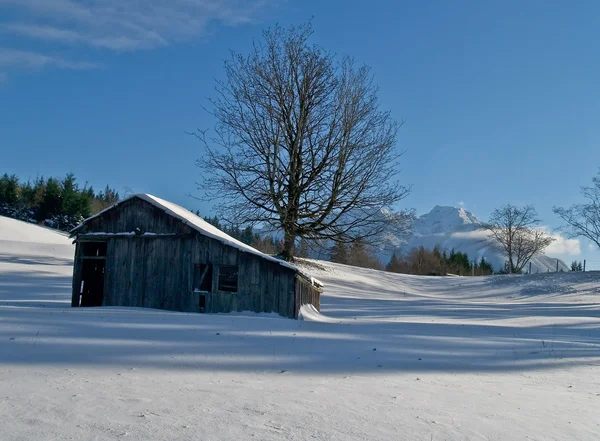 Celeiro rural e pasto no inverno — Fotografia de Stock