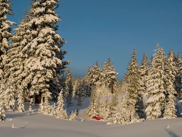 Winter kamp tussen de bomen — Stockfoto