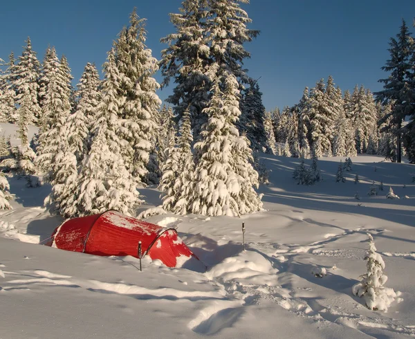 나무 들 가운데 겨울 캠프 — 스톡 사진