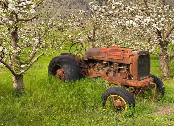 Antique spring orchard tractor — Stock Photo, Image
