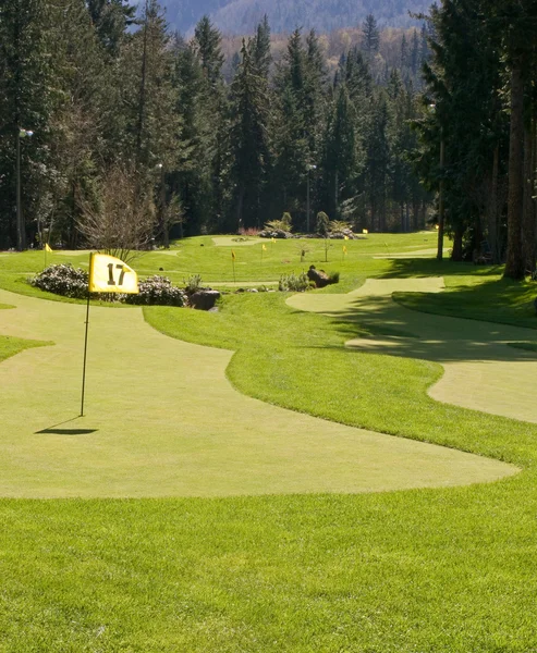 Golf Putting Range — Stockfoto