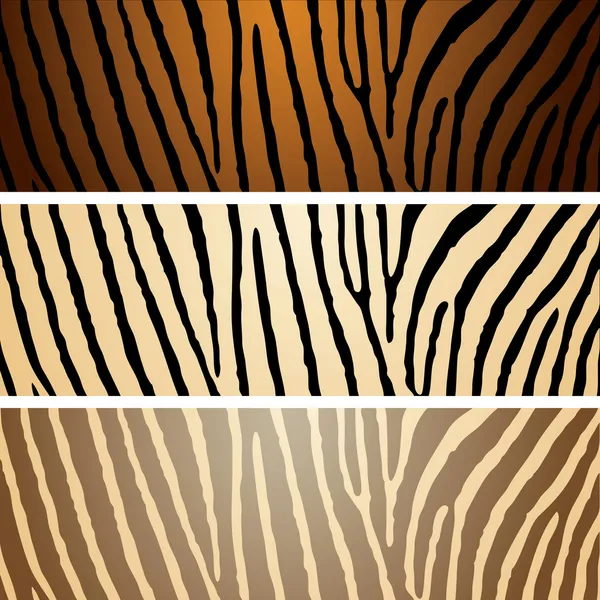 Varianta Zebra — Stockový vektor