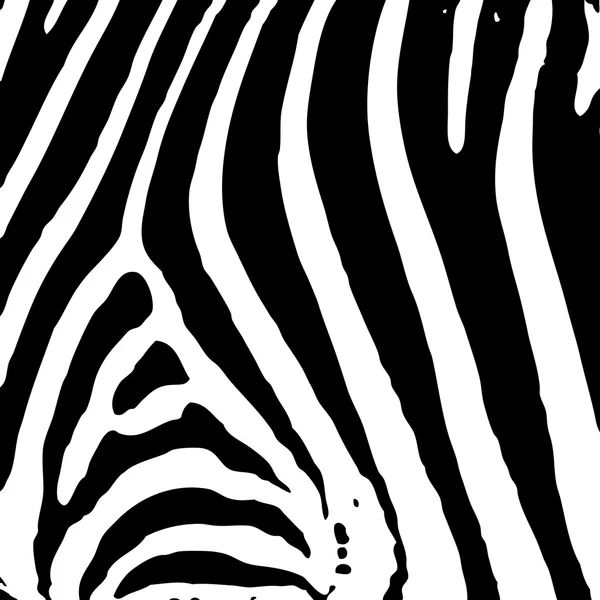 Impressão zebra — Vetor de Stock