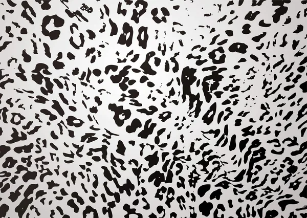 Léopard des neiges — Image vectorielle