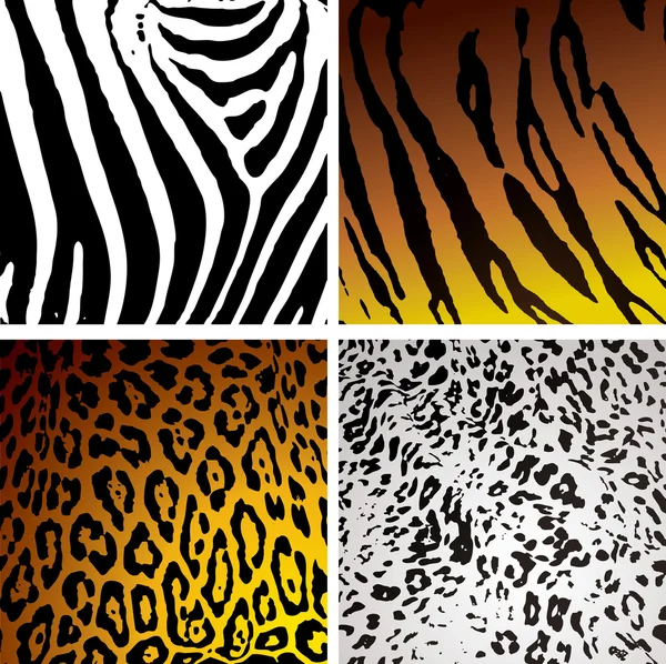 Variation cutanée animale — Image vectorielle